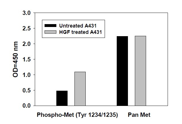 Phospho-Met (Y1234) ELISA Kit