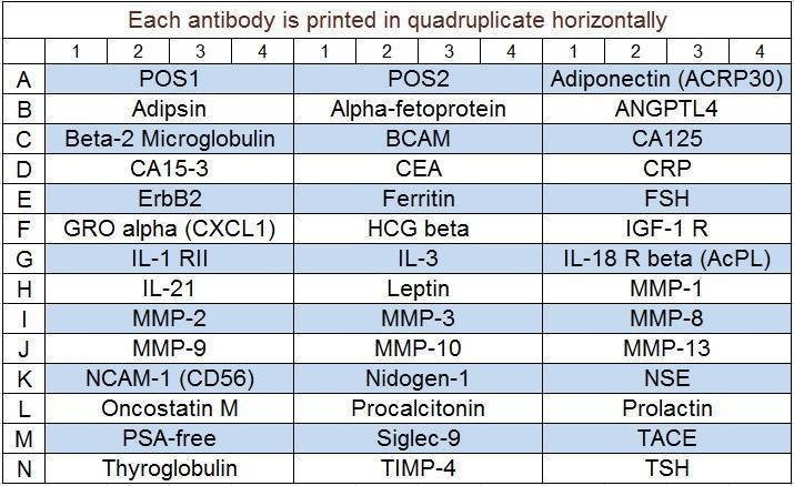 Human Cytokine Array Q5