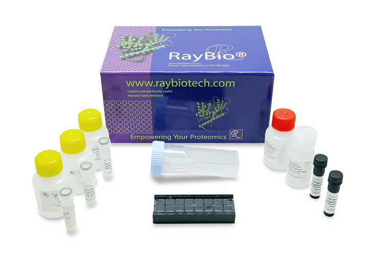 Human Growth Factor Array Q1