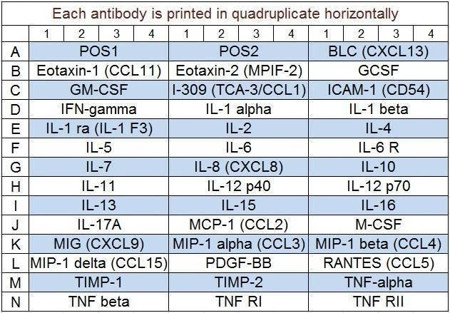 Human Inflammation Array Q3