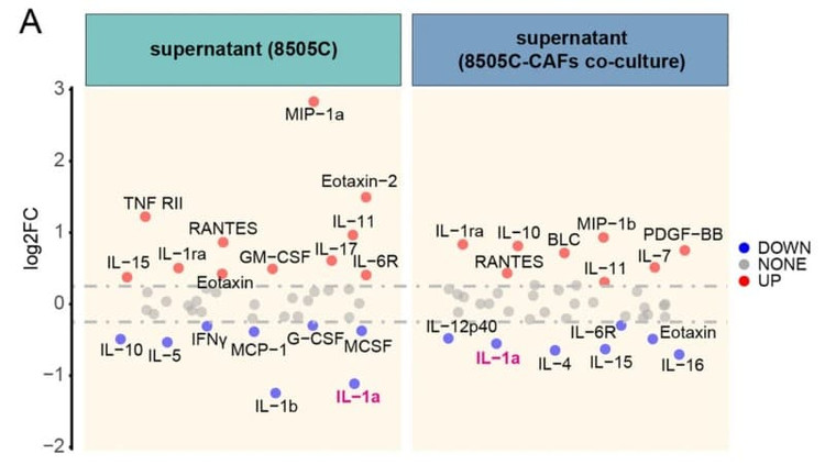 Figure adapted from Pan et al., Molecular Cancer, 2022.