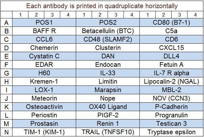 Mouse Cytokine Array Q7