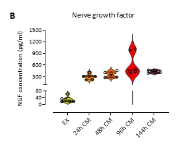 The Human β-NGF ELISA Kit was used to quantify NGF released from leukocyte- and platelet-rich fibrin (L-PRF) in exudate and conditioned media over time. Figure adapted from Lambrichts et al., International Journal of Molecular Sciences, 2023.