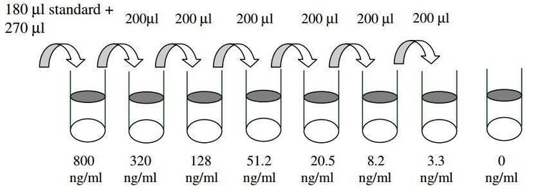 Human MMP-2 ELISA Kit