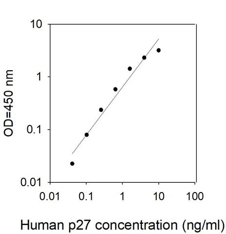 Human p27/Kip1/CDKN1B ELISA Kit