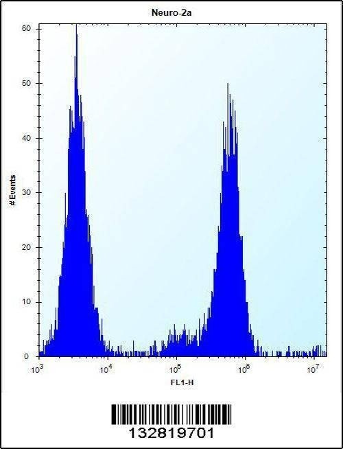 Anti-CHSY1 (Center) Antibody