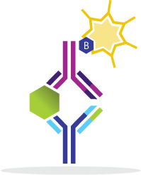 Mouse TCA-3 ELISA Kit