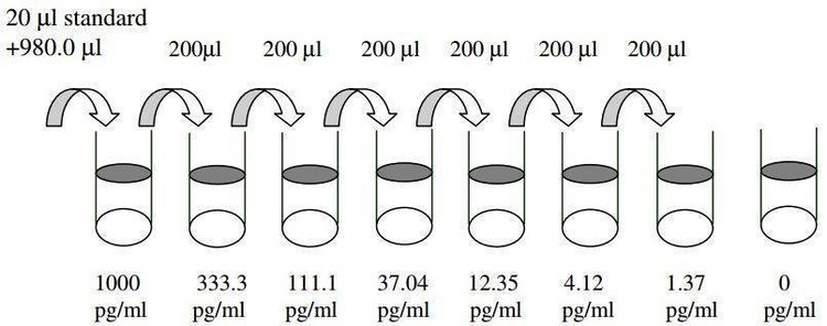 Mouse TIMP-1 ELISA Kit