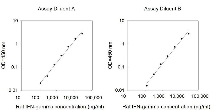 Rat IFN-gamma ELISA Kit