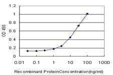 Anti-CDK4 Antibody