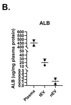 Figure adapted from Pulliam et al., International Journal of Molecular Sciences, 2024.