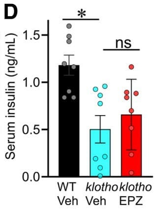ELM-Insulin was used to measure serum insulin in klotho mice treated with the EZH2 inhibitor EPZ6438. Figure adapted from Taheri et al., Cellular and Molecular Gastroenterology and Hepatology, 2024.