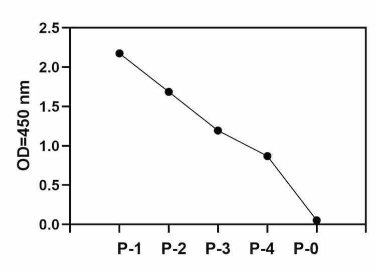Human Phosphotyrosine SRMS ELISA Kit