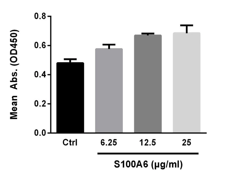 Recombinant Human S100-A6 Protein
