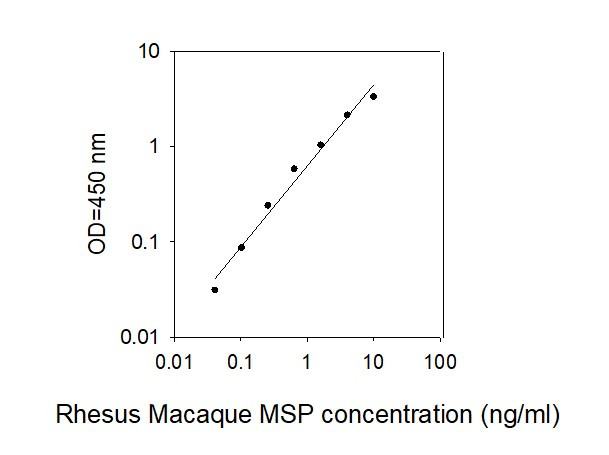 Rhesus Macaque MSP ELISA Kit Standard Curve