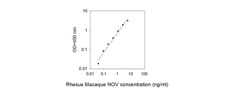 Rhesus Macaque NOV ELISA Kit Standard Curve