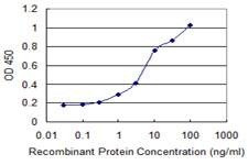 Anti-CDR2 Antibody