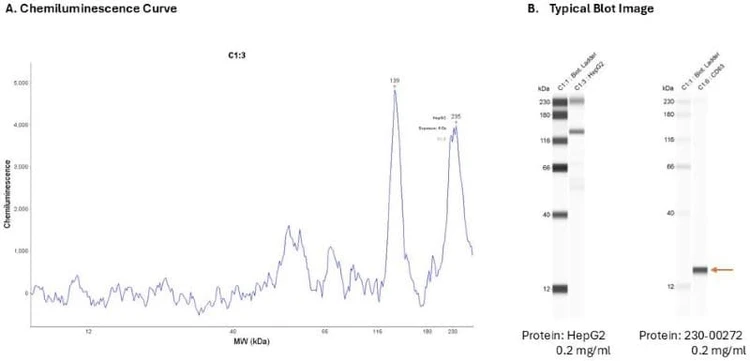 Cell Lysate: HepG2 0.2 mg/ml | Secondary Ab: Mouse | Exposure: 5 sec | Expected MW (kDa): 25