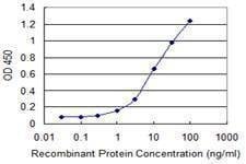 Anti-CEL Antibody