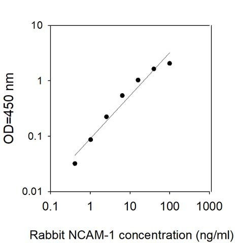 Rabbit NCAM-1/CD56 ELISA Kit