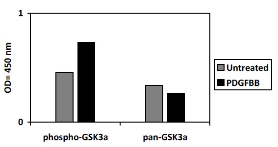Phospho-GSK3a (S21) ELISA Kit
