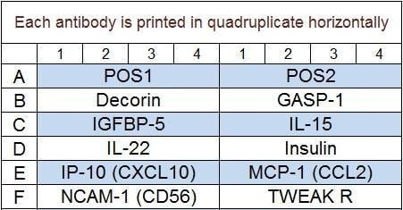 Porcine Cytokine Array Q3