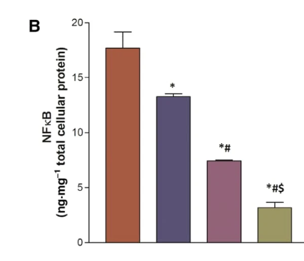 RayBio® Phospho-NFκB p65 (S536) ELISA measured NFκB activation in HCC cells, revealing sulfasalazine's synergistic effect with imatinib. Figure adapted from Shamaa et al., FEBS Open Bio, 2021.