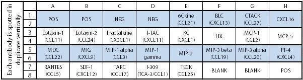 Mouse Chemokine Array C1