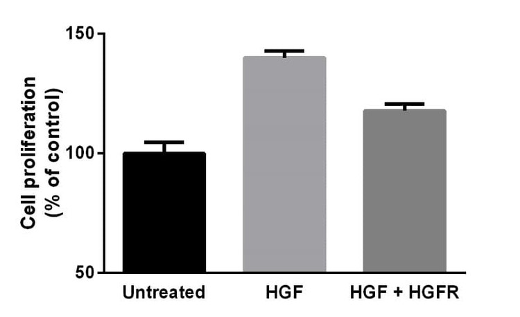 Recombinant Human HGFR Protein