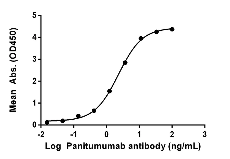 Recombinant Human EGFR (ERBB1/HER1) Protein