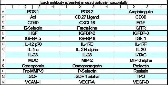 Mouse Cytokine Array GS4