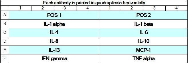 Human Inflammation Array GS1