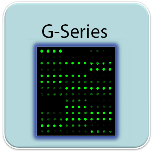 Human Cytokine Array GS10