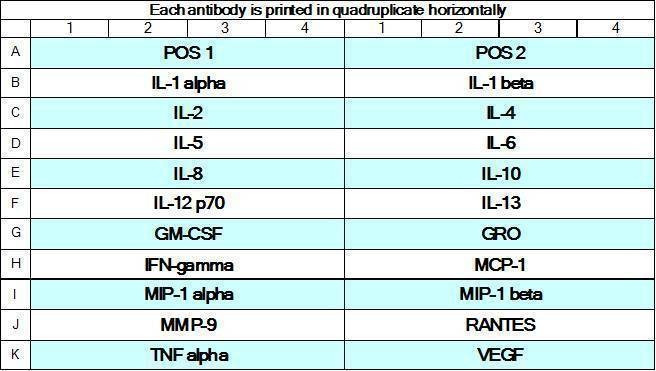 Human Cytokine Array GS1