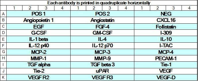 Human Angiogenesis Array GS3