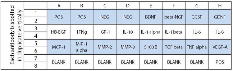 Human Neuro Discovery Array C1