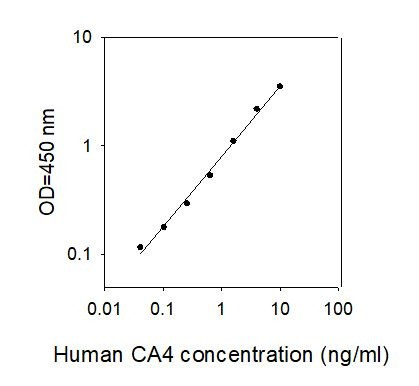 Human CA4 ELISA Kit