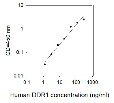 Human DDR1 ELISA kit Standard Curve