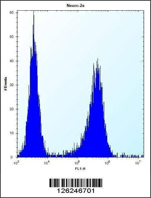 Anti-LYPL1 (Center) Antibody
