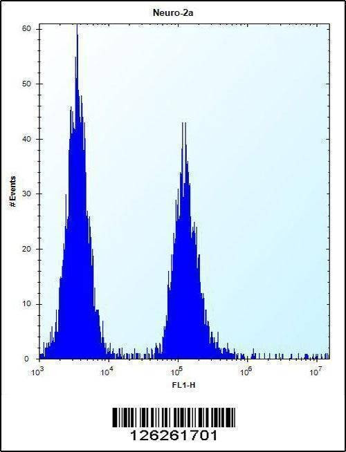 Anti-VASH2 (C-term) Antibody