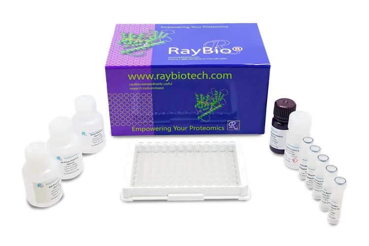 Phospho-HDAC4 (S632) Kit