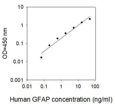 This protein is used as the standard in the ELISA kit (catalog number: ELH-GFAP).