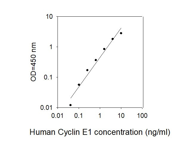 Human Cyclin E1 ELISA Kit Standard Curve