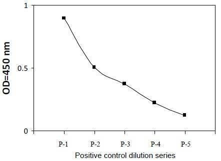 Cleaved-Caspase-7 (D198) and Caspase-7 ELISA Kit