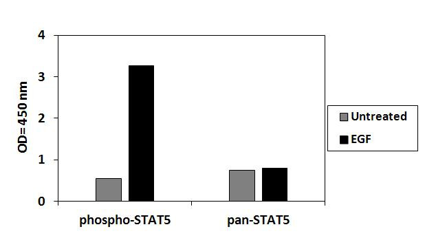 Human Phospho-STAT5A (Y694) ELISA Kit