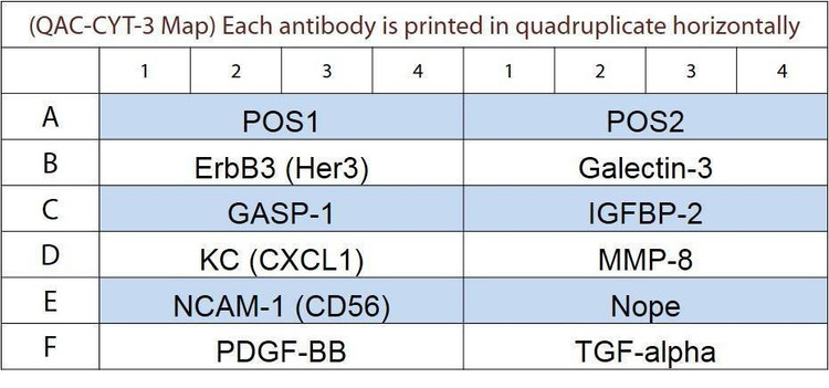 Canine Cytokine Array Q3