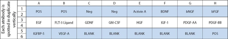 Rat Growth Factor Array 1