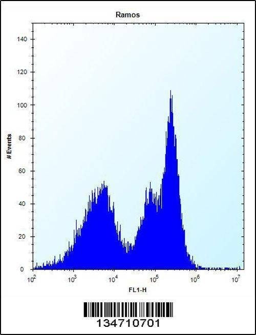 Anti-ZAP70 (Center) Antibody