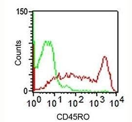 Anti-Marmoset CD45RO Antibody