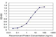 Anti-CITED1 Antibody